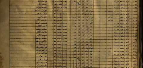 Census: 1878-79